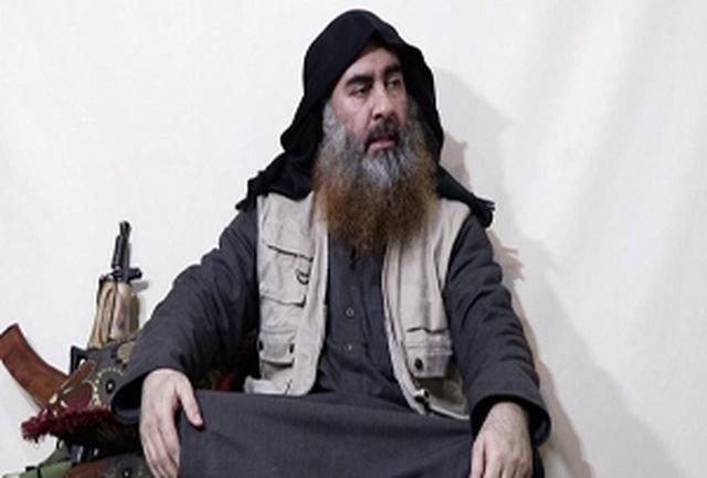 جسد معاون بغدادی نیز پیدا شد جسد معاون بغدادی نیز پیدا شد