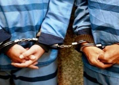 دستگیری 6 دزد با 13 فقره سرقت در بهار