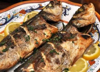 طبع گوشت ماهی، مصلحات و خواص آن در طب سنتی